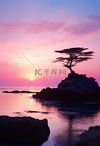 孤独颂歌背景图片_一棵孤独的树和崎岖的海岸反射着日落时的天空