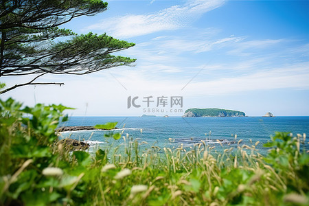 海与天空背景图片_日本海岸线图像与杂草和树木