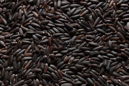 种子的萌发背景图片_黑米种子排列得像米粒