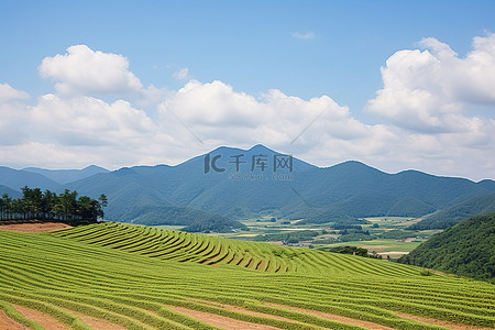 中利达画册背景图片_科达利克山的山景