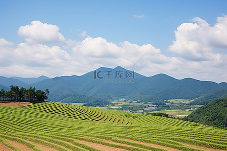 达利的钟表背景图片_科达利克山的山景