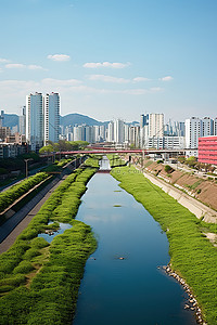大江大河背景图片_一条绿色的大河穿过城市景观