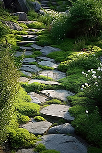 ps素材石路背景图片_一条穿过花园的石路