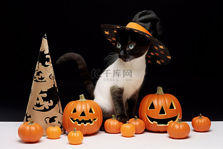 黑色的猫背景图片_一只黑色小猫玩一盒万圣节南瓜和一顶女巫帽