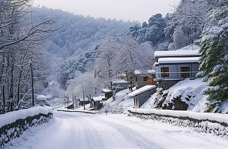 农村村庄背景图片_chowk mtn 路被雪和村庄内的树木覆盖