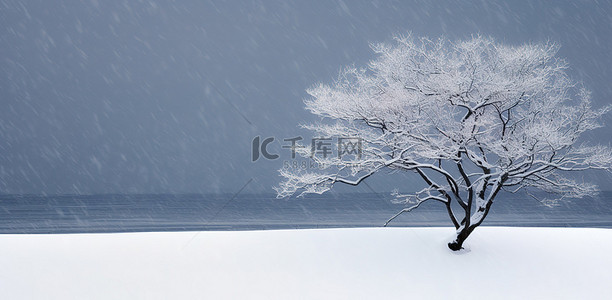 雪天梨花背景图片_雪天积雪的山上有两棵树