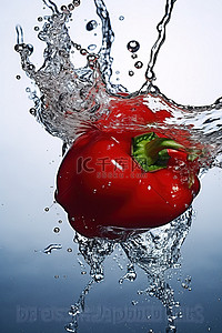 红辣椒漂浮背景图片_红辣椒漂浮在水面上 photo