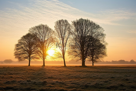 安靜背景图片_太阳从田野里的树木上方升起