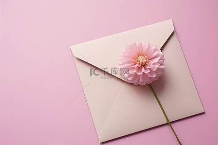 可爱的花卉邀请函，信封里有简单的花和情书