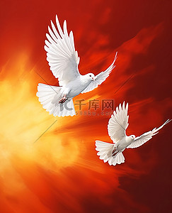 红底白鸽背景图片_橙色背景的白鸽在天空中飞翔