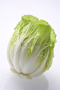 白菜好物背景图片_白色表面上显示蒸白菜
