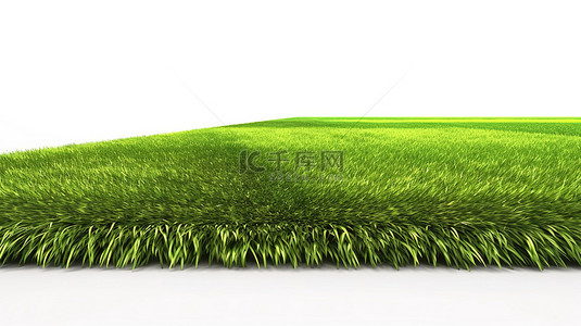 3d 中的足球场呈现出带条纹的草坪，草坪上郁郁葱葱的绿草与白色背景隔离