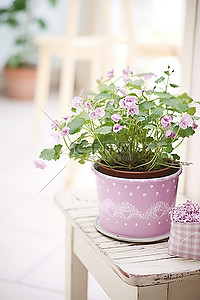 桶背景图片_粉红色的花盆里有不同的花