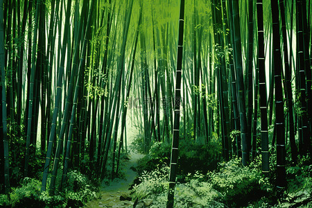 竹树矗立在深绿色的森林中央