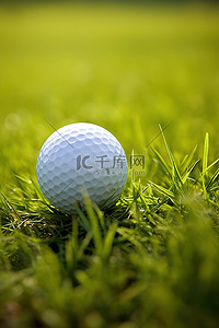 白色的球背景图片_一个白色的高尔夫球坐在草地上
