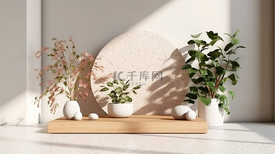 照片白色背景图片_阳光照射的空木头和白色水磨石展示架的高级照片，上面有植物和 3D 渲染