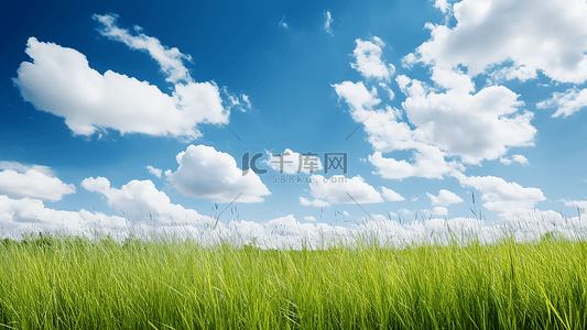 赏花赏花背景图片_草地广阔绿茵茵的草原