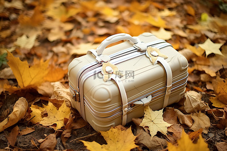 一个手提箱坐在地上的树叶上