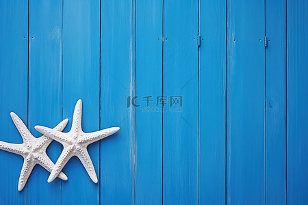 挂在蓝色木门上的白色海星