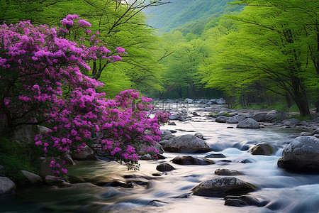 一条在树木和鲜花旁边流淌的河流