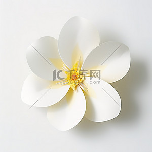白色的花背景图片_一朵白色的花站在白色的背景下