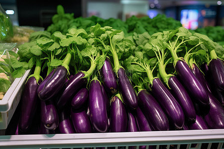 冷藏展示柜中出售的紫色茄子