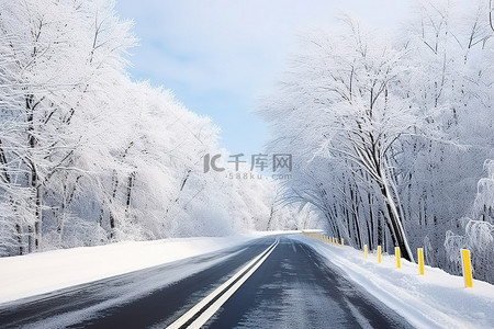 道路背景图片_积雪覆盖的道路和树木