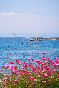 一艘船和粉红色的花朵在海岸的海洋前