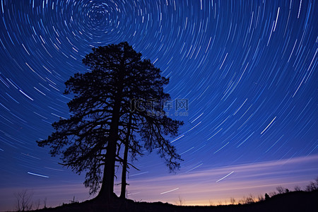 蛇爬的痕迹背景图片_夜晚，星星在一棵孤独的树上留下痕迹