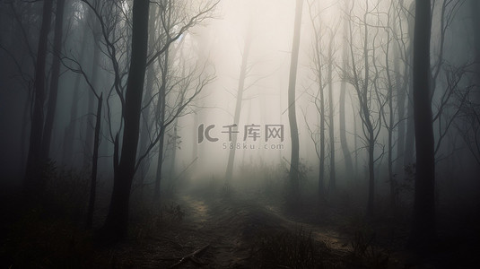 秋天的树背景图片_阴森恐怖的 3d 森林雾中骨骼场景