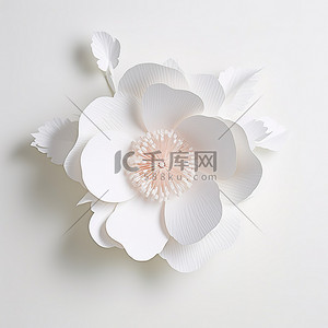 桌子上显示着白纸上的一朵白花