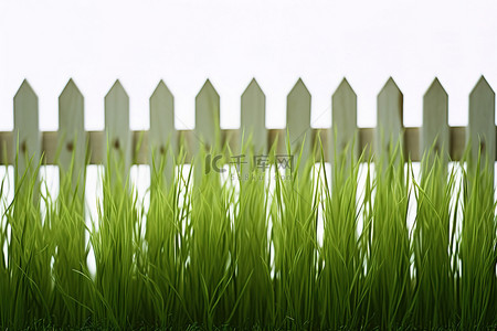 绿草长在栅栏上