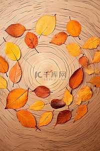 珊瑚橙背景图片_木质表面上的秋叶