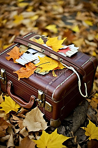 落叶的背景图片_满是落叶的土地上的旧手提箱