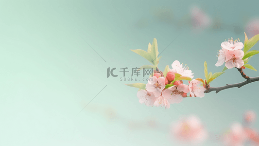 春季花背景背景图片_樱花植物浪漫春季广告背景