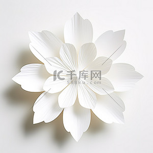 一朵用纸做成的白花