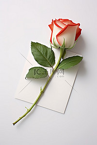 一张我爱你的卡片，放在玫瑰旁边的白色表面上