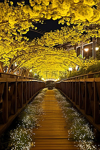 花桥背景图片_桥上铺满了色彩缤纷的花朵，并从内部照亮