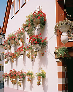 招牌背景图片_建筑物侧面悬挂着花盆，下面是五颜六色的花朵