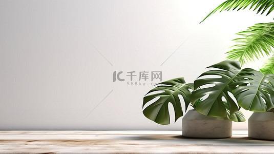 简单性背景图片_3D 木桌龟背竹植物和干净的混凝土墙的简单性