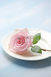 蓝桌上白盘里的粉红玫瑰
