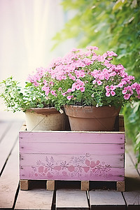 木制花盆中的粉红色花园高级免版税代码 代码 587084