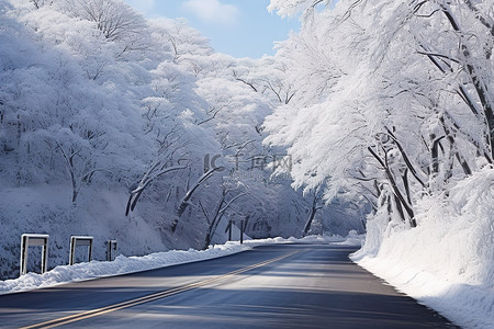 一条路上有雪，背景中有树木