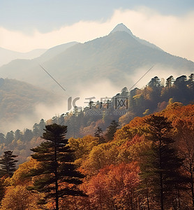 森林与背景图片_山与树在秋天与白雪