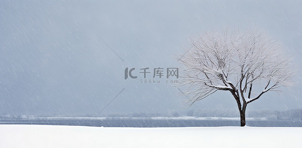 雪中树背景图片_雪中​​克利夫顿山的孤树