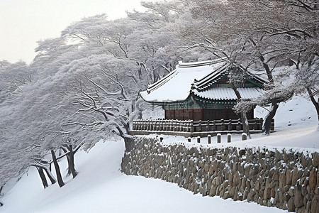 首尔宫殿南墙上的积雪结构