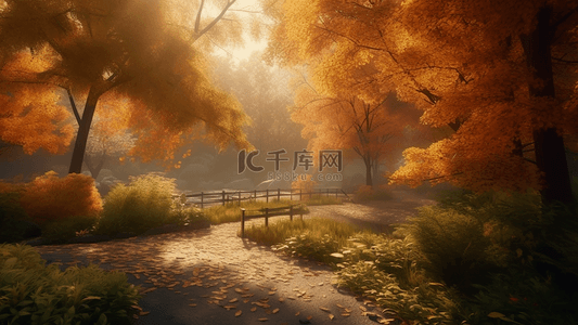 秋天森林日光自然风景摄影广告背景