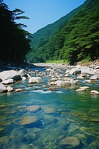 古诗瀑布背景图片_阳光明媚的日子里，一条蓝色的河流穿过森林