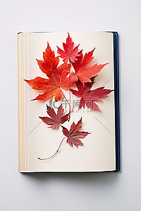 关于背景图片_关于秋天的落叶的书