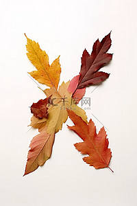 x字母背景图片_白色字母 x 上面有秋叶，另一边有秋叶